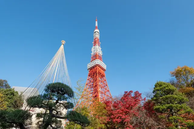 Tour de Tokyo
