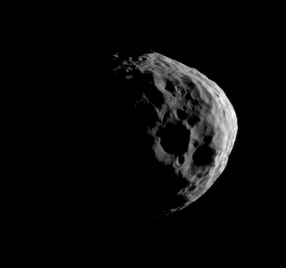 Observation image of Janus