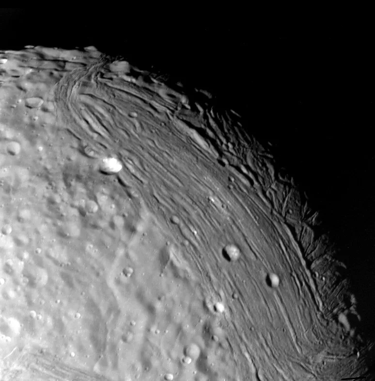 Observation image of Miranda