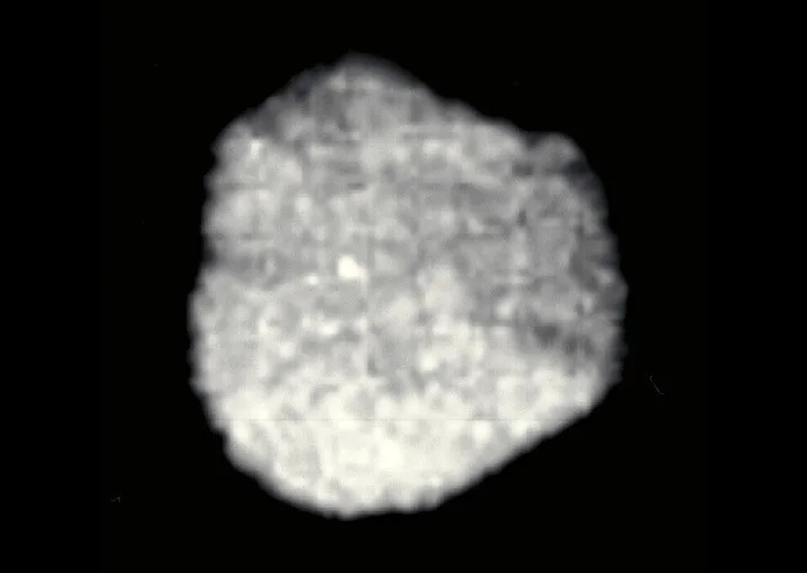 Observation image of Proteus